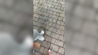 Skylar Mae Scarlettkissesxo GG Realtor Fuck Fest Onlyfans Video