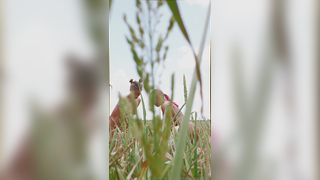 Paige Vanzant See Our Inner Animal Cumming Out To Play Paid Onlyfans leak