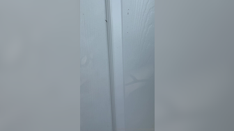 Bluebxbyyy Sloppy Blowjob With Lots Of Slurping And Fucked Leaked Onlyfans Video