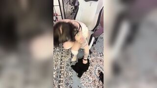 Nivnixxi Video Call Joi Onlyfans Ppv Leak