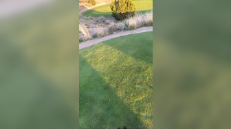 Bootyfulgolf Outdoor Pov Suck And Fucked In Doggy On Golf Field Leaked Onlyfans