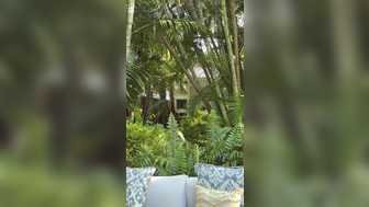 Mia Khalifa Outdoor Slingkini Tryon Leaked Onlyfans