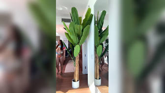 Persephanii Oily Big Nude Tits Dropped Out Leaked Onlyfans Livestream