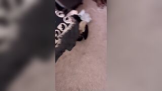 Urfavbellabby Nerdy School Teen Sucked A Fat Cock Onlyfans Leak