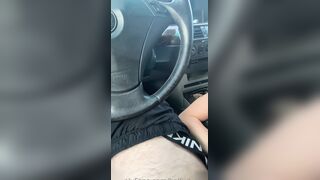 Wildhalli Sucks Cock While Driving