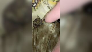 Submissive Wife With Big Ass Fucks Her Husband In Leaked Clip