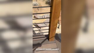 Ashley Aoky Takes Hard Poolside Fucking