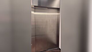 Katiana Kay Sucking White Cock In Elevator And Getting Doggy Fucked Onlyfans Video